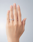Allergy-free pairing Ti-68/Ti-69 (2.0mm / 2.3mm)
